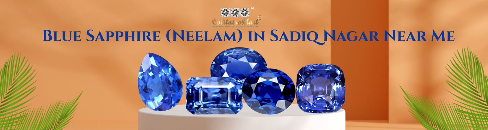 Blue Sapphire (Neelam) in Sadiq Nagar Near Me